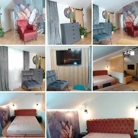Apartment Happy 6